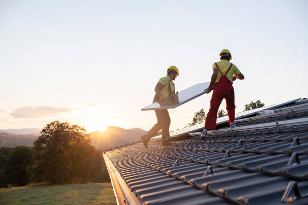 Best Skylight Installation and Repair  in Wellton, AZ