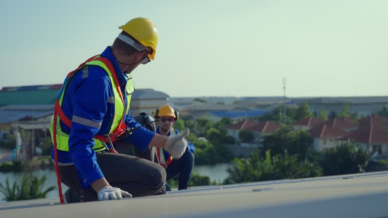 Best Metal Roofing Installation  in Wellton, AZ