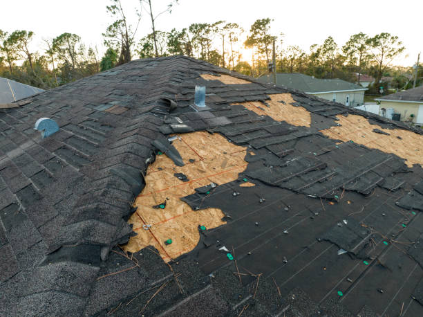 Best Tile Roofing Installation  in Wellton, AZ